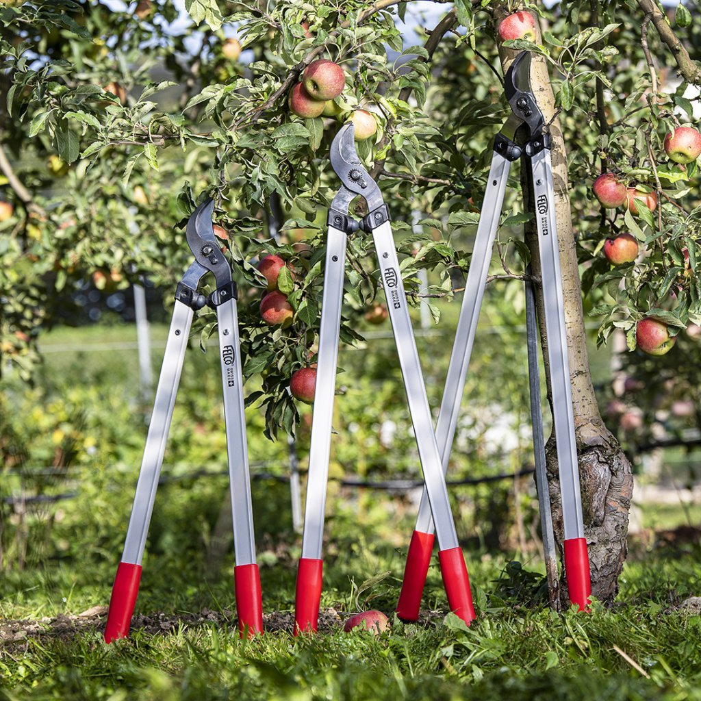 Désherbeur FELCO 421 - Outil Jardin Acier Allié - Manche Bois Frêne - 165g - Désherbage Précision