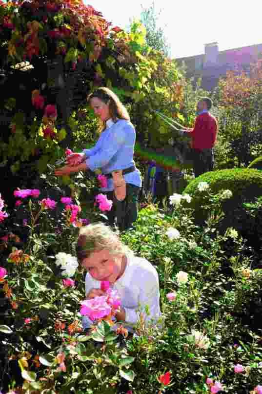 Rodina pracující na zahradě mezi květinami