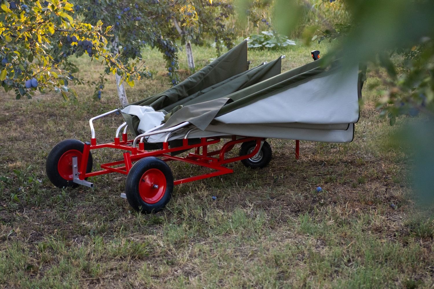 Sběrač HARVEST se zaklopeným deštníkovým mechanismem. Podvozek umožňuje snadný pohyb po trávě v sadech.