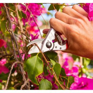 Nářadí pro zahradu