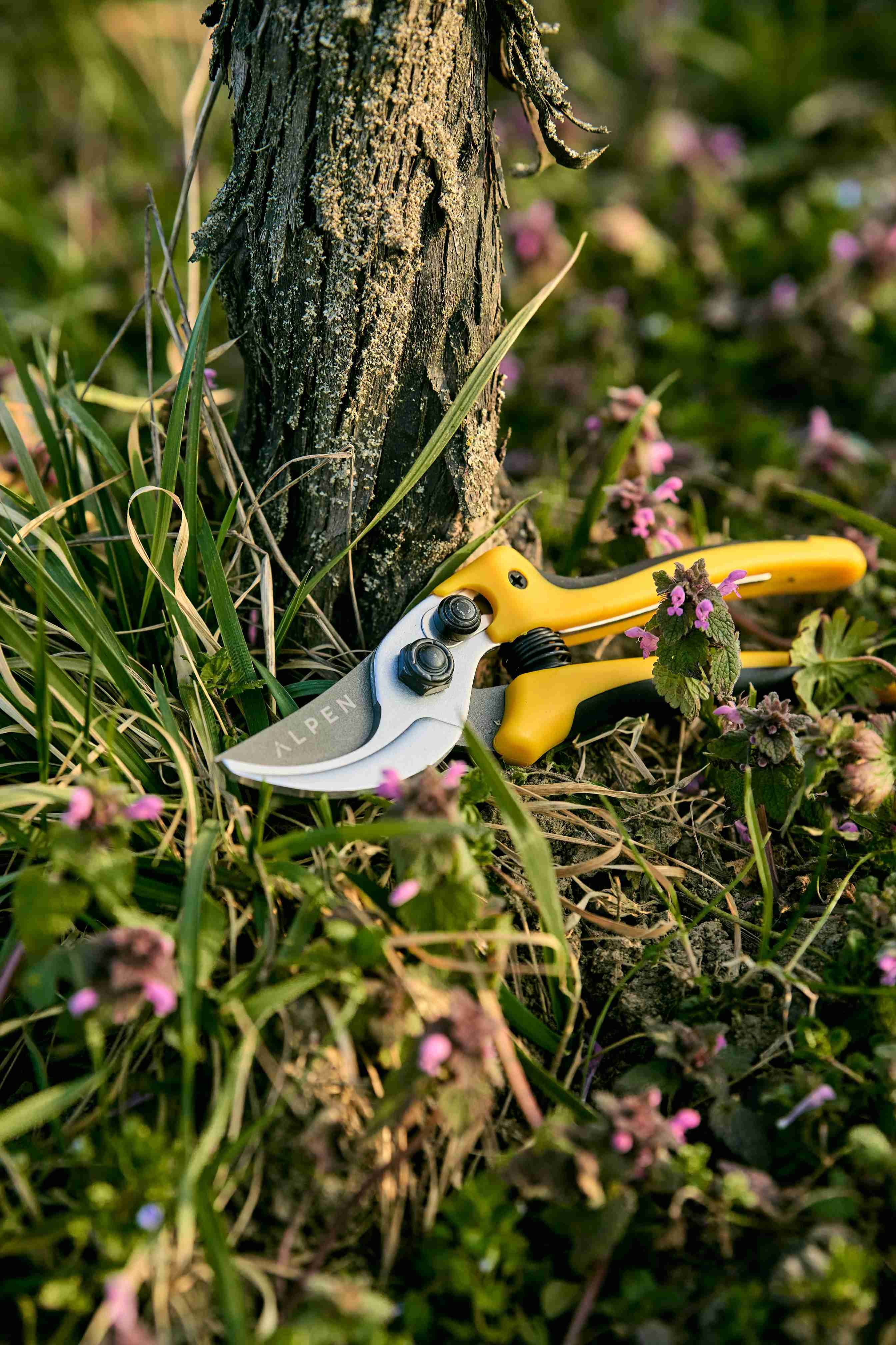 Zahradnické nůžky Gelbhorn 140 položené u kmene stromu Zahradnické nůžky Gelbhorn 140 položené u kmene stromu