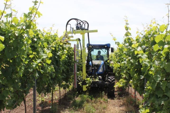 Ořezávač révy COLLARD PROFILMATIC P300LP při práci ve vinici