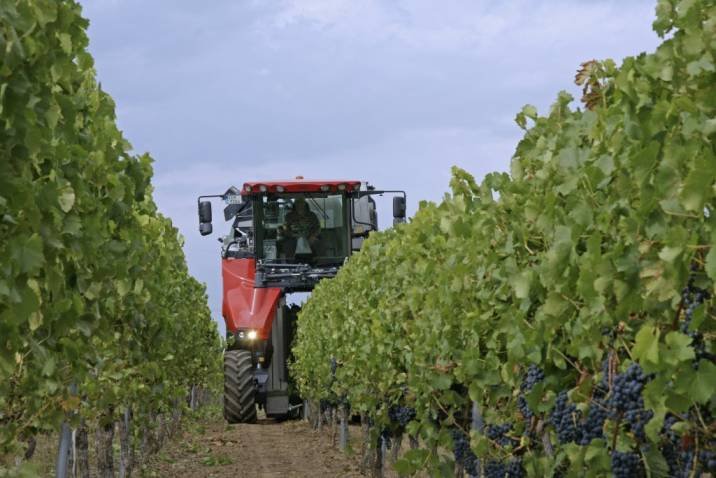Zemědělský traktor pracující ve vinici